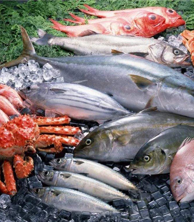 ���/ˮ���߲�