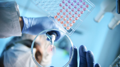 �t(y��)��/�t(y��)ˎ