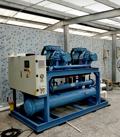 ���r�~(y��)��