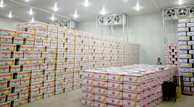 �߲����(k��)